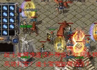 սʿ��ο��������ȼ�����ʦ������Ч�򱦣���ʿ�������������