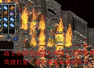 սʿ��ο��������ȼ�����ʦ������Ч�򱦣���ʿ�������������