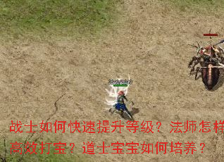 սʿ��ο��������ȼ�����ʦ������Ч�򱦣���ʿ�������������