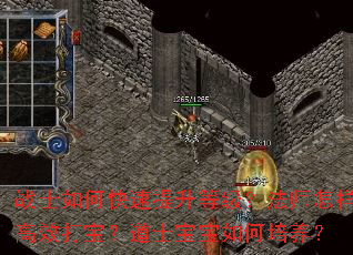 սʿ��ο��������ȼ�����ʦ������Ч�򱦣���ʿ�������������