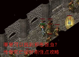 哪里可以找到邪恶钳虫?传奇死亡棺材刷怪点攻略 哪里可以找到邪恶钳虫?传奇死亡棺材刷怪点攻略