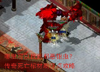 哪里可以找到邪恶钳虫?传奇死亡棺材刷怪点攻略 哪里可以找到邪恶钳虫?传奇死亡棺材刷怪点攻略