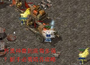 月灵神兽到底有多强?新手必看培养攻略 月灵神兽到底有多强?新手必看培养攻略