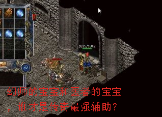 幻师的宝宝和医者的宝宝,谁才是传奇最强辅助? 幻师的宝宝和医者的宝宝,谁才是传奇最强辅助?