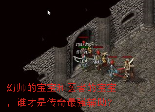 幻师的宝宝和医者的宝宝,谁才是传奇最强辅助? 幻师的宝宝和医者的宝宝,谁才是传奇最强辅助?