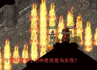 ����˽����ʿ�����޾����ж�ǿ��