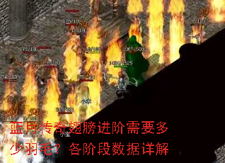 蓝月传奇翅膀进阶需要多少羽毛?各阶段数据详解 蓝月传奇翅膀进阶需要多少羽毛?各阶段数据详解