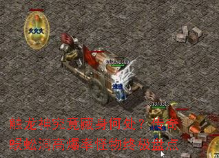 触龙神究竟藏身何处?传奇蜈蚣洞高爆率怪物终极盘点 触龙神究竟藏身何处?传奇蜈蚣洞高爆率怪物终极盘点