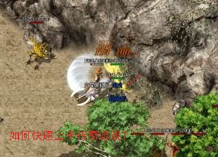 ��ο������ִ�����Ϸ��