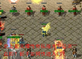 ʷ����𱬴���˽�����¹����ڼ���������ο������ţ�