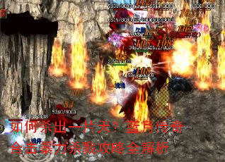 ���ɱ��һƬ�죿���´���ϻ�����ɱ¾����ȫ����