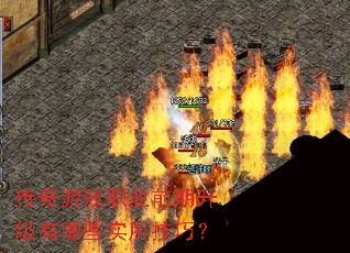 ������Ϸְҵǰ����������Щʵ�ü��ɣ�