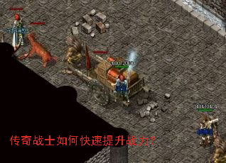 ����սʿ��ο�������ս����