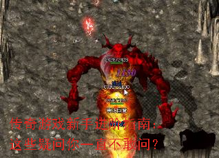 ������Ϸ���ֽ���ָ�ϣ���Щ������һֱ�����ʣ�