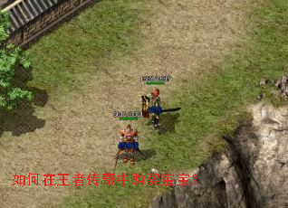 如何在王者传奇中购买宝宝? 如何在王者传奇中购买宝宝?