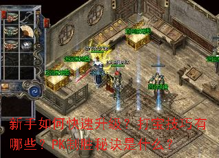 ������ο����������򱦼�������Щ��PK��ʤ�ؾ���ʲô��