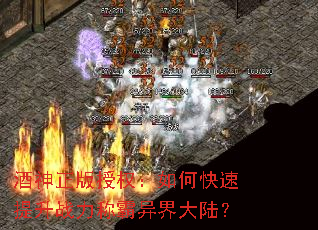 ����������Ȩ����ο�������ս���ư�����½��