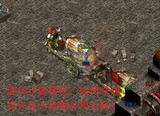 ����������Ȩ����ο�������ս���ư�����½��