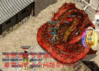 ������Ϸר�ҽ��أ����������ʵ�ʮ��������ʲô��