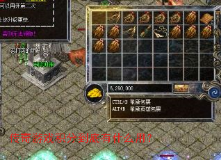 ������Ϸ���ֵ�����ʲô�ã�