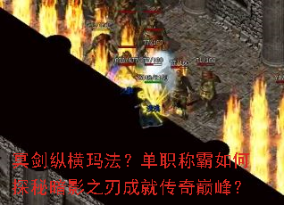 ڤ���ݺ��귨����ְ�ư����̽�ذ�Ӱ֮�гɾʹ����۷壿