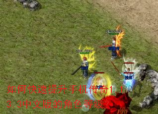 ��ο��������ֻ�����1.13.3���İ�Ľ�ɫ�ȼ���