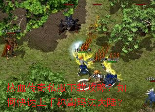 ��Ѫ����˽�����ع��ԣ���ο������ֳư��귨��½��