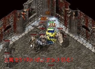 光翼进阶1到11级需要多少羽毛? 光翼进阶1到11级需要多少羽毛?