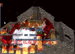 �����̬˽������Щ����þ������������