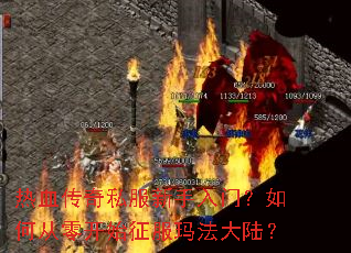 ��Ѫ����˽���������ţ���δ��㿪ʼ�����귨��½��