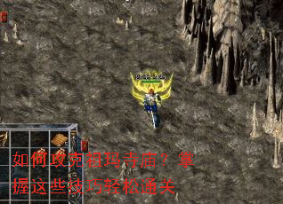 ��ι�������������������Щ��������ͨ��