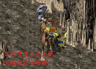 ��ο����������½��ְҵ���棿