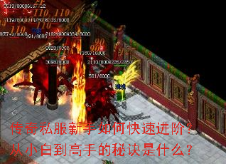 传奇私服新手如何快速进阶?从小白到高手的秘诀是什么? 传奇私服新手如何快速进阶?从小白到高手的秘诀是什么?