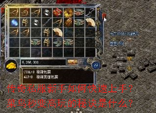 ����˽��������ο������֣�������������ؾ���ʲô��