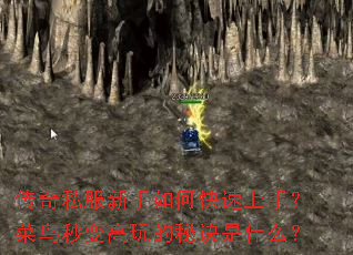 ����˽��������ο������֣�������������ؾ���ʲô��