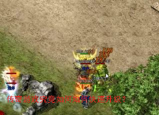 ������Ϸ���������ο���������