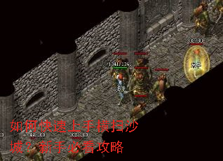 ��ο������ֺ�ɨɳ�ǣ����ֱؿ�����