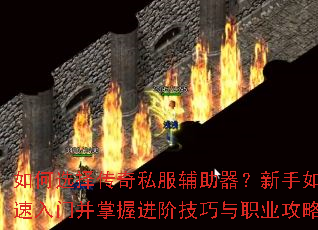 如何选择传奇私服辅助器?新手如何快速入门并掌握进阶技巧与职业攻略? 如何选择传奇私服辅助器?新手如何快速入门并掌握进阶技巧与职业攻略?