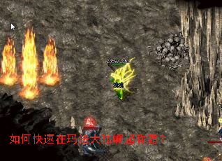 ��ο������귨��½����ưԣ�