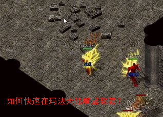 ��ο������귨��½����ưԣ�