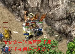 ����������ٰ���ǧ����������ο��ٳưԣ�