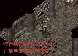 ����������ٰ���ǧ����������ο��ٳưԣ�