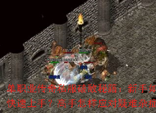 单职业传奇私服破敌秘籍:新手如何快速上手?高手怎样应对疑难杂症? 单职业传奇私服破敌秘籍:新手如何快速上手?高手怎样应对疑难杂症?