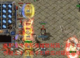 ��ְҵ����˽���Ƶ��ؼ���������ο������֣���������Ӧ��������֢��