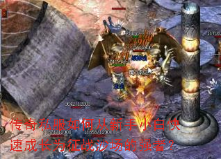 传奇私服如何从新手小白快速成长为征战沙场的强者? 传奇私服如何从新手小白快速成长为征战沙场的强者?