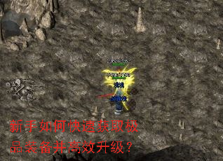 ������ο��ٻ�ȡ��Ʒװ������Ч������