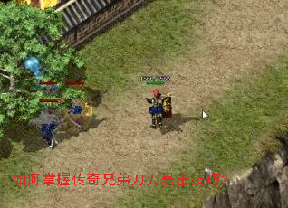 ������մ����ֵܵ����������ɣ�