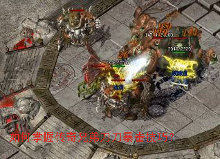 ������մ����ֵܵ����������ɣ�