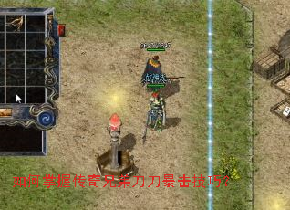 ������մ����ֵܵ����������ɣ�