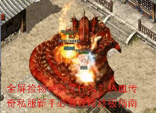 ȫ������������ʲô����Ѫ����˽�����ֱؿ������ռ�ָ��